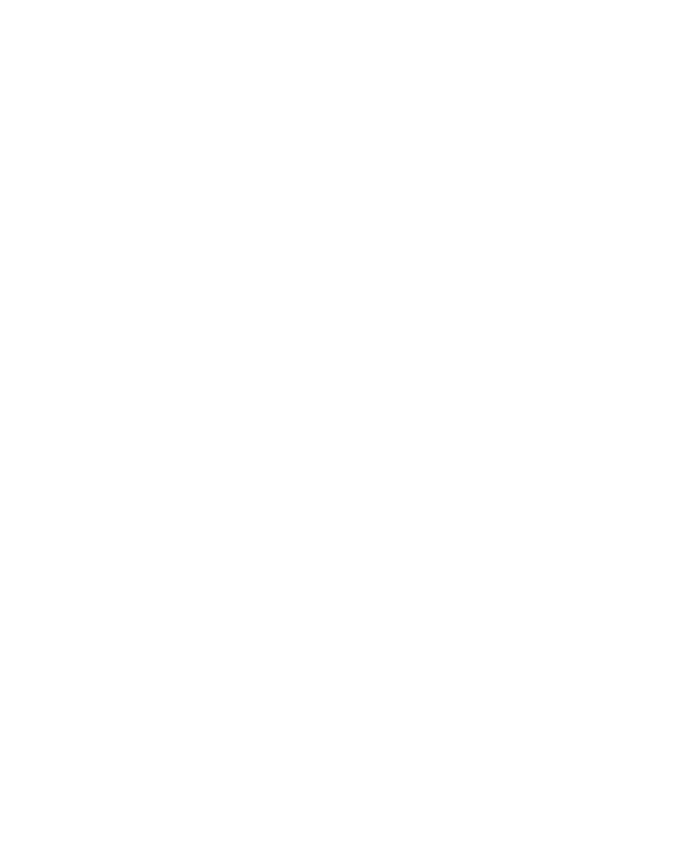 Button icon